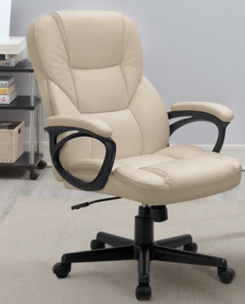 High-Back Executive Office Chair With Lumbar Support And Swivel Function