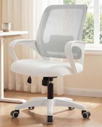 Mesh Ergonomic Office Chair—Swivel, Height-Adjustable, With Lumbar Support
